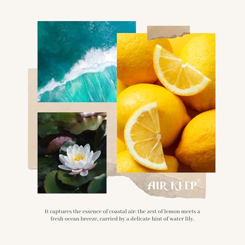 Image of Airkeep Reed Diffuser Set,3.38 fl oz (100 ml) - Ocean Breeze Oil Diffusers with 8 Reed Sticks, Home Fragrance Reed Diffuser for Bathroom Shelf Decor