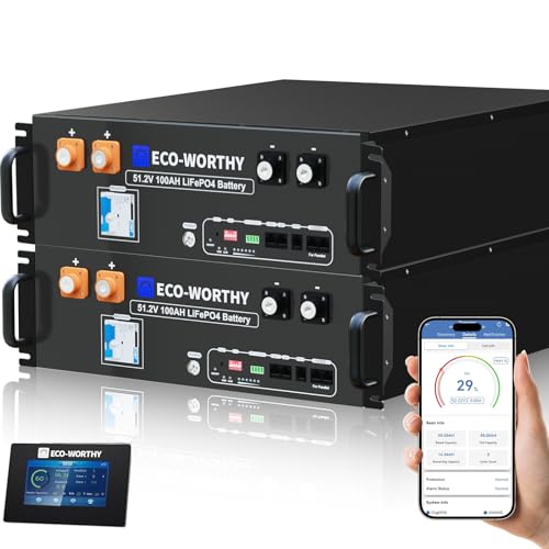 ECO-WORTHY 48V 200Ah LiFePO4 Lithium Battery (2 Pack 48V 100AH), 10. 24kWh, Server Rack with Bluetooth, Low-Temp Protection, 3U Chassis for Off-Grid, Solar, Energy Backup (Get Free RS232/RS485 Cable)