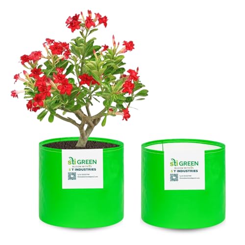 Image of HDPE Grow Bags for Plants 9X9 Inch (Pack of 2) | 260 GSM Heavy Duty UV-Protected Round Green Colour Plant Bags for Terrace and Vegetable Gardening | Strong & Reusable|