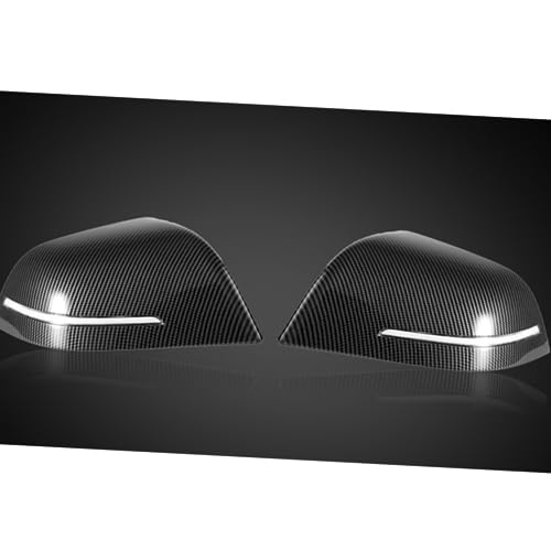 Couvercle rétroviseur Tesla Model 3 anti rayure pour coque de clignotant B