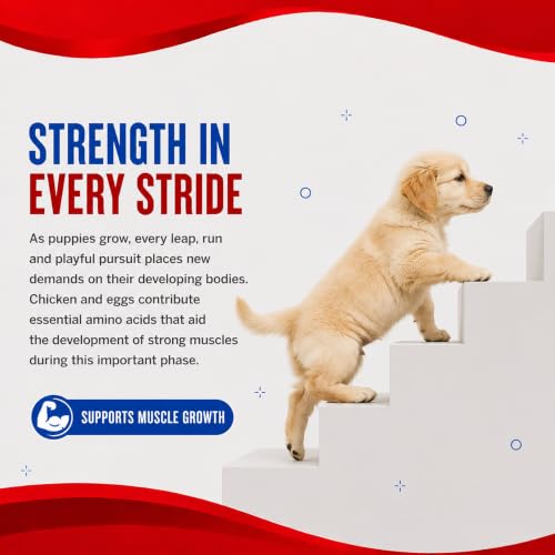 Image of Drools Puppy Dry Dog Food Performance 20kg | Chicken | Complete & Balanced Food | Supports Growth | Highly Digestible