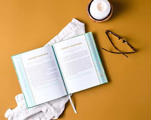 Image of Unshakeable: 365 Devotions for Finding Unwavering Strength in God's Word