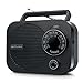 Produktbild Muse m-050 R Tragbar FM/MW-Radio - AUX-Eingang/klein, batteriebetrieben, Kofferradio
