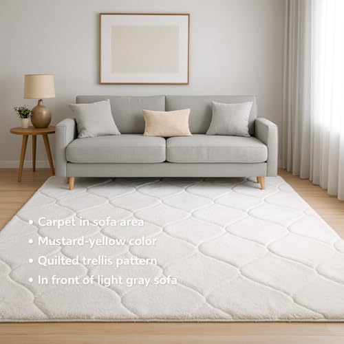 Image of Carpet for Hallway, Kitchen, and Modern Interiors, Cozy Shag Runner for Living Room, Entryway & Office Decor Size 3x5 feet Full Ivory