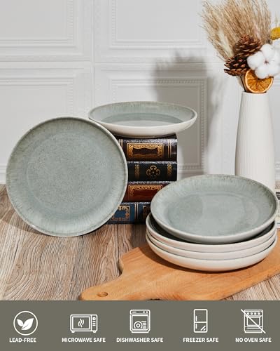 Image of Pokini Ceramic Dinner Plates Set of 6, 8inch Salad, Dessert Plates Dishes | Reactive Glaze Stoneware Dish Set, Dinner Plate for Dessert, Salad, Appetizer, Microwave & Dishwasher Safe, Scratch Resistant