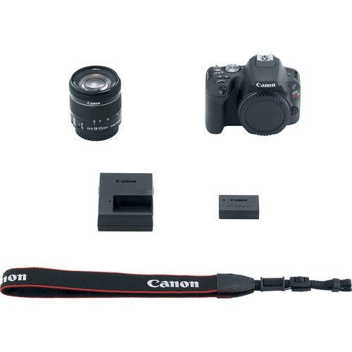 Cámara Canon EOS Rebel SL2 DSLR 24.2MP con lentes y accesorios miniatura 6