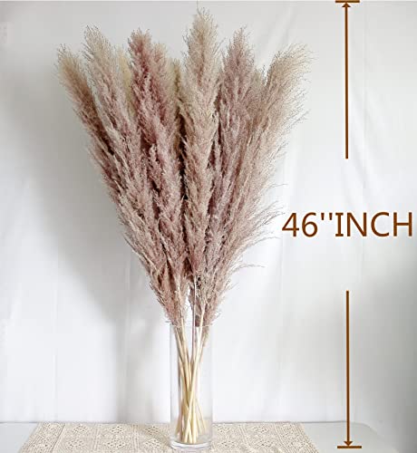 Image of Bannifll 10 PCS of 46-INCH Nature Pampas Grass - Elegant Fluffy Decor for Floor Vases. Perfect for Boho Weddings and Nature Vase Home Decor, Grey
