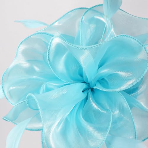 Image of DRESHOW Fascinators Hat Tea Party Headwear Ribbons Feathers on a Headband and a Clip for Women