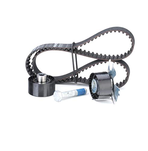 Kit de distribution INA 530 0449 10 noir contre usure moteur