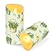 Caihoyu LED Flameless Candles with Timer 2/4/6/8H Reusable Battery Operated Fake Candles for Christmas Garden Tools and Herbs
