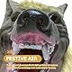 Warmhm Halloween Werwolf Kostüm Set, Horror Werwolf Kopfmaske und Klauenhandschuhe Wolf Cosplay Maske Anziehkostüm für Halloween Party