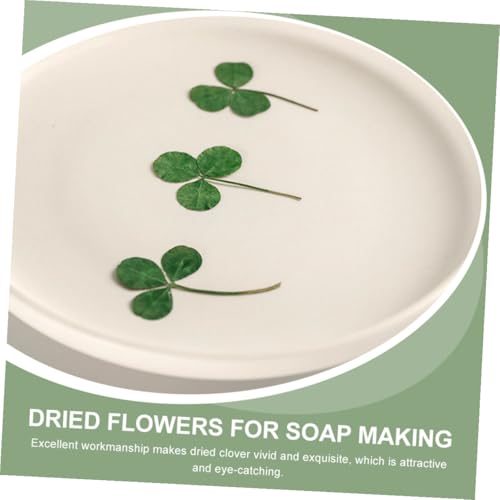Hojas de trébol prensado secas verdes para manualidades 24 pcs miniatura 5