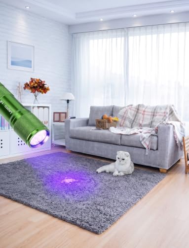 Image of Lepro 365nm UV Flashlight, Small Portable Black Light Detector for Invisible Ink Pens, Dog Cat Pet Urine Stain, AAA Batteries Included, 2 Pack