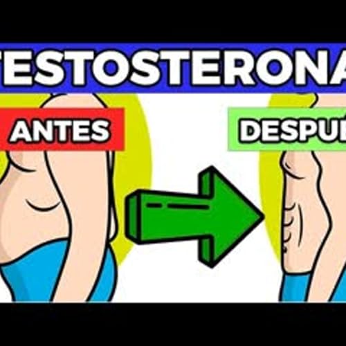 C&oacute;mo Aumentar Tu TESTOSTERONA Naturalmente