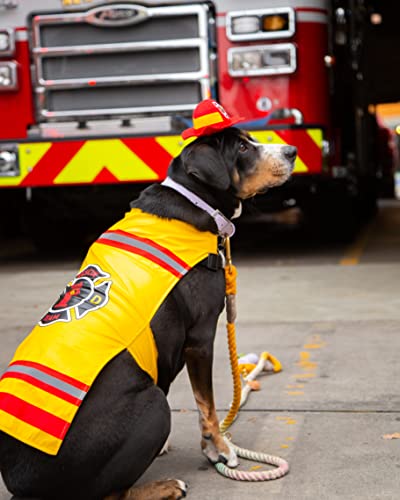 Pet Krewe Dog Firefighter Costume - Funny Halloween Pet Fireman Outfit Costumes For Small, Medium, Large Cats And Dogs #TOP7