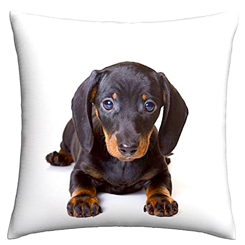 The Beach Stop Dekorativer Kissenbezug mit Dackel-Motiv, Heimdekoration, Geschenkidee, 45 x 45 cm, Dackel-Welpe