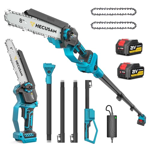 2-in-1 Cordless 8 Inch Pole Saw for Tree Trimming