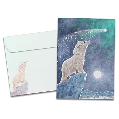 Enveloppes respectueuses de l'environnement Tree-Free Greetings Solstice Polar Magic 12,7x17,8