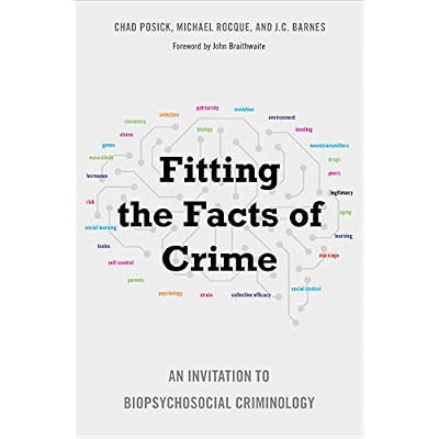 Fitting the Facts of Crime