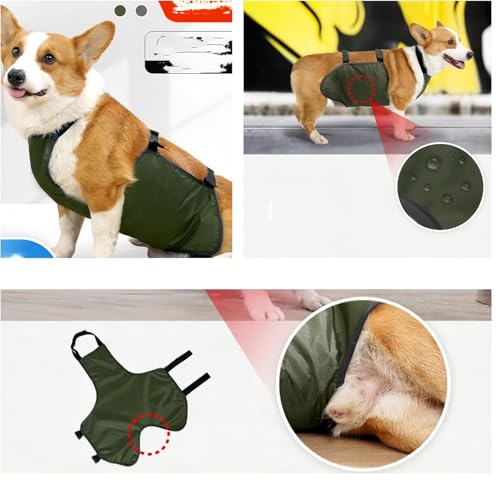 CAASFOOY Bauchschutz für Hunde, Bauchband, Lätzchen, warme Weste, Polyester, grün, Large, Sommer, Wasserfest, Kühlung und Belüftung