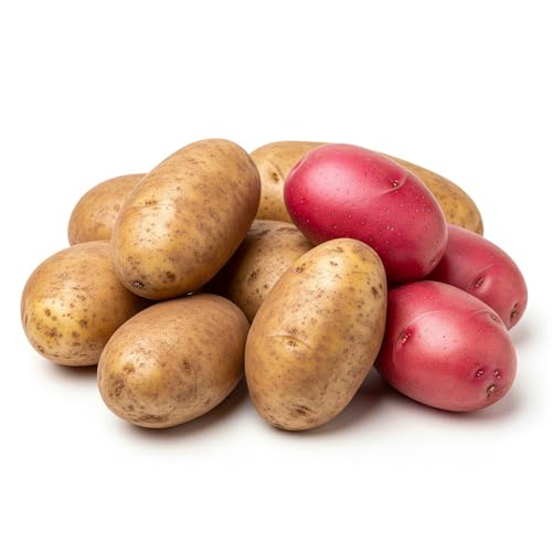 Russet Potatoes 1 and 1 Pound Red Potatoe