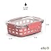Ello Duraglass 3.4 Cup Meal Prep Sets 10Pc, 5 Pack Set- Glass Food Storage Container with Silicone Sleeve and Airtight BPA-Free Plastic Lids, Dishwasher, Microwave, and Freezer Safe, Melon