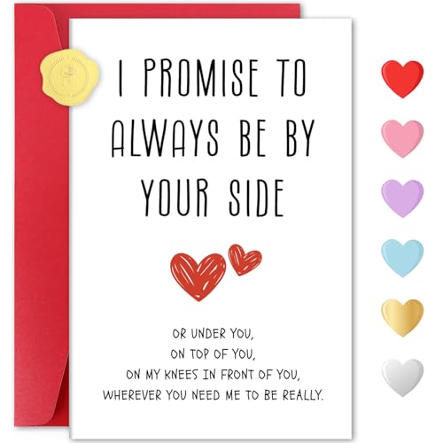 Funny Valentines Day Card Gifts for Him Her, Romantic Valentine's Day Gift for Husband, BF, Fiance, Wife, GF or Fiancee, Unique Valentines Card for Men or Women, Anniversary Birthday Card Gifts, I Promise to Always Be by Your Side