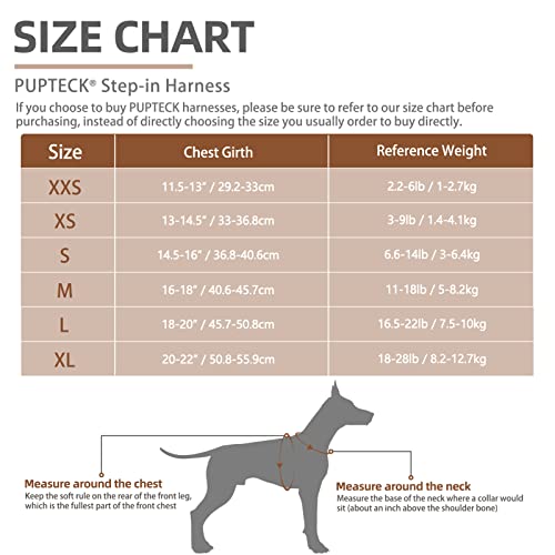 Pupteck Adjustable Pet Harness Collar And Leash Set Step In For Small Dogs Puppy And Cats Outdoor Training And Running, Soft Mesh Padded Reflective Vest Harness, Purple L #TOP1