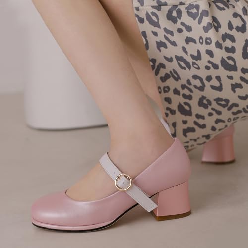 Women Mary Jane Shoes Round Toe Block Heel Court Shoes4