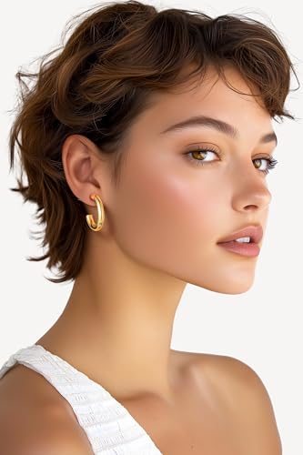 Image of Stainless Steel Chunky Hoop Earrings For Women, Minimalist and Chic, Black /Gold Plated, Round Hoops Earrings Hypoallergenic, Size: 30mm /40mm /60mm /80mm, Come with Box