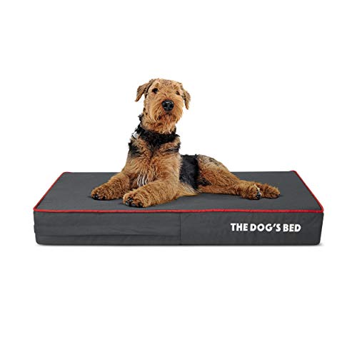 The Dog’s Bed Orthopedic Memory Foam Dog Bed, Medium Grey/Red ...