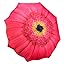 Pink Daisy