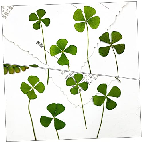 STOBAZA 24pcs Hojas Secas Naturales para Manualidades miniatura 4