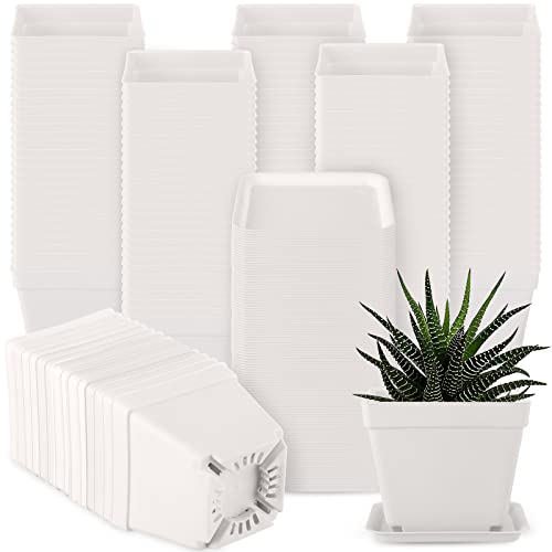 Amyhill Plant Nursery Pot