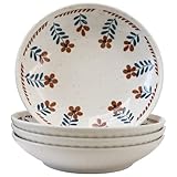 ASENMIRO Ceramic plates salad plates 8 inch coloured dessert plates set of 4 breakfast plates fruit