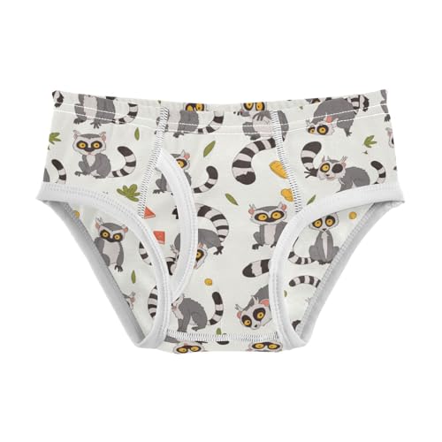 Wusikd Cute Lemur Print Boys' Underwear Cotton Boys Briefs Soft Toddler Underwear 2T