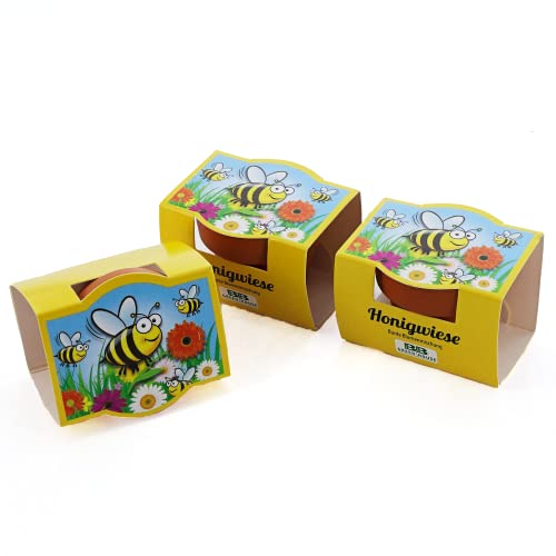 Bull & Bear 3er Set Mini-Pflanzset Honigwiese, 3x Blumensamen im Topf 4,5cm, Blumenmischung als Anzuchtset mit Pflegeanleitung