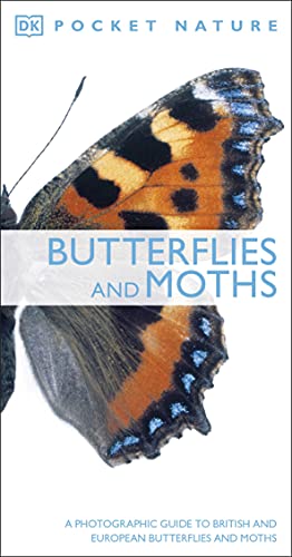 Butterflies & Moths