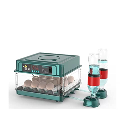 Incubateur 15 oeufs entièrement automatique pour couveuse poulet et volaille