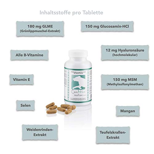 CaniMove Motion mini - 100 hochentwickelte Gelenktabletten für kleine Hunde, mit MSM, Hyaluronsäure, Gag, GLME, tierärztliche Rezeptur (100 Tabletten)