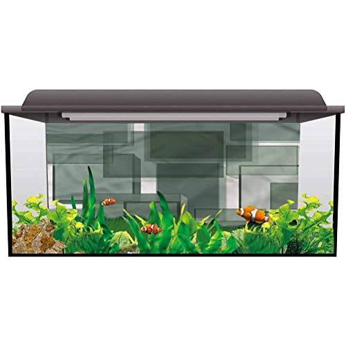  Tubertini Trout X 0 Canna da Pesca Tremarella per Trota Lago Materiale in Carbonio