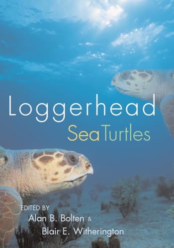 Loggerhead Sea Turtles