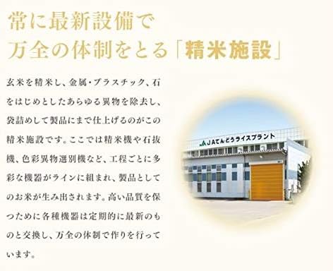 新米 お米 5kg 精米 山形県産 令和7年 雪若丸 5kg（5kg×1袋） 【新潟県佐渡市】 時短 ryy0506