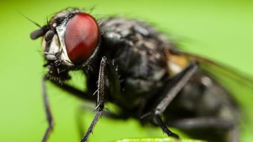 This Week in Law 325: You Got Kafka In My Orwell