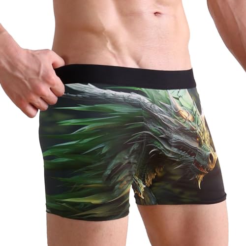 Green Dragon Men's Boxer Briefs S 202a54512