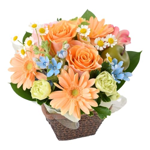 花由 季節のおまかせ 生花 アレンジ (ロゼッタアレンジ/パステルMIX) 可愛い お花 フラワーアレンジメント (そのまま飾れる) 誕生日 記念日 お祝い プレゼントのサムネイル