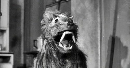 Episode 259 - The Killer Shrews Meet Solid Snake