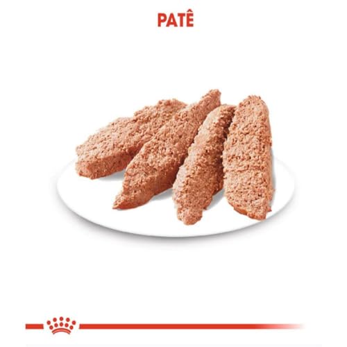 Ração Úmida Jelly para Gatos Adultos Castrados 85g Royal Canin