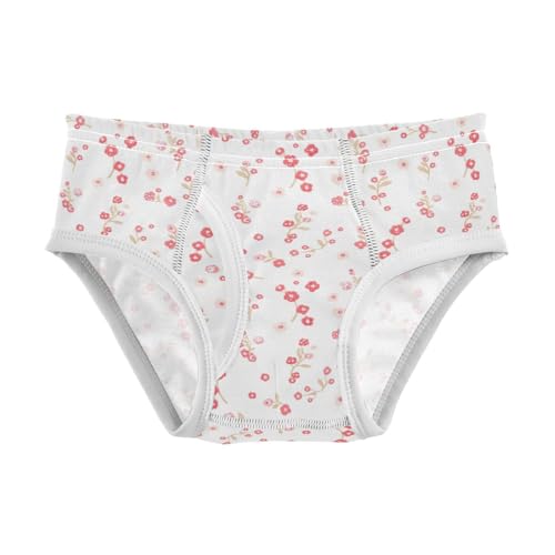 Flowers Floral Toddler Boy's Underwear 2T 2302203