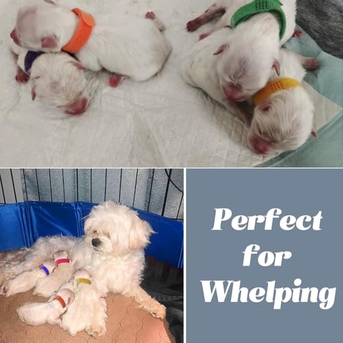 Artilife Whelping Pen for Dogs,Whelping Box for Small Dogs and Puppies,Dog Birth Supplies,Portable Whelping Pool Whelping Box(32" Dia.x8 H)